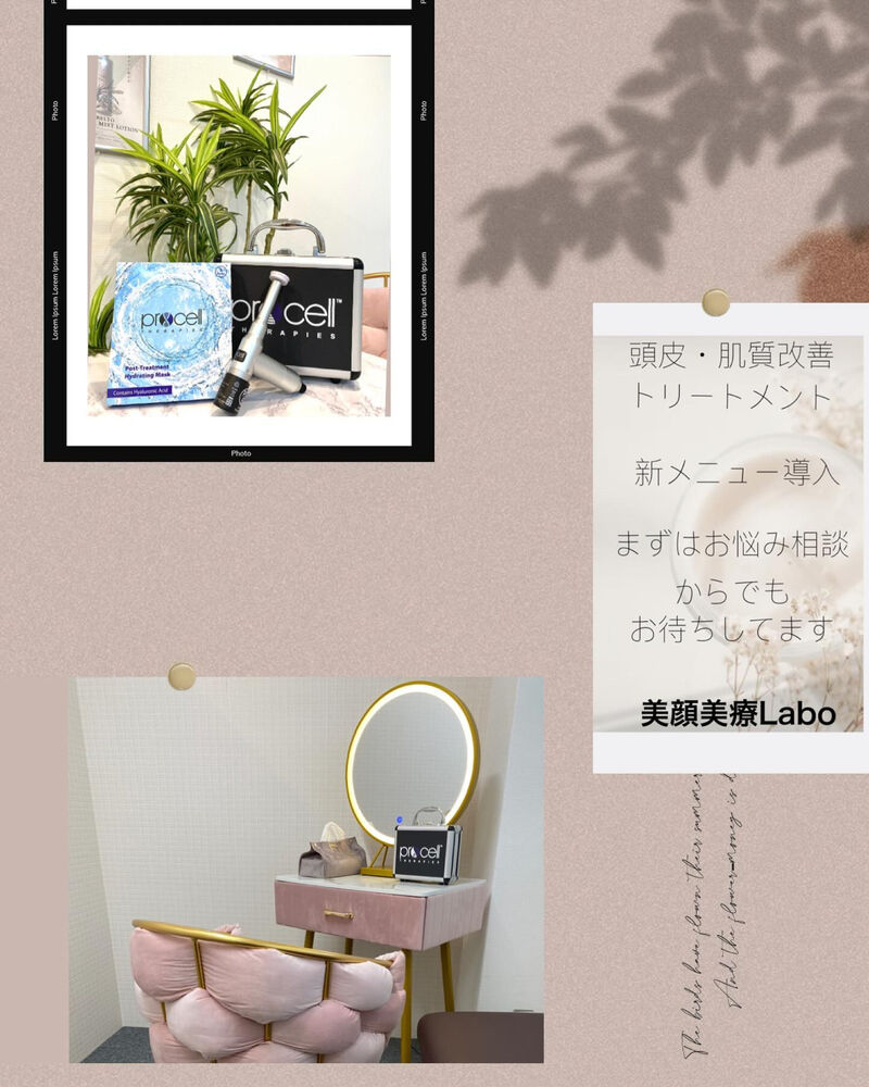 ブログ